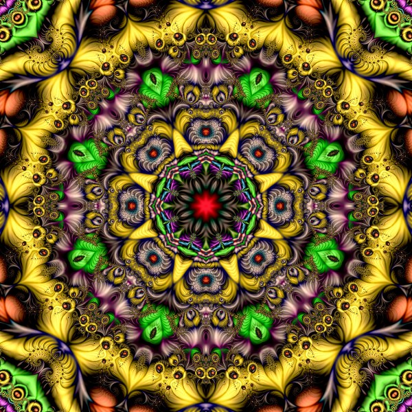 Monkey Mandala by Deometry